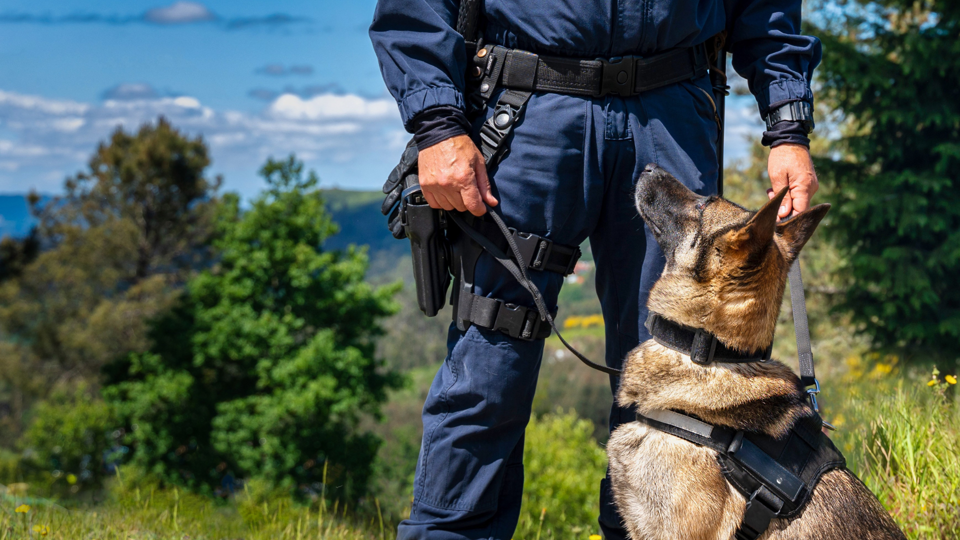 K9