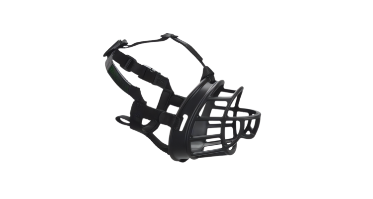 muzzle