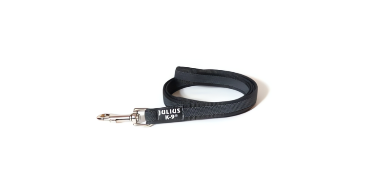 leashes